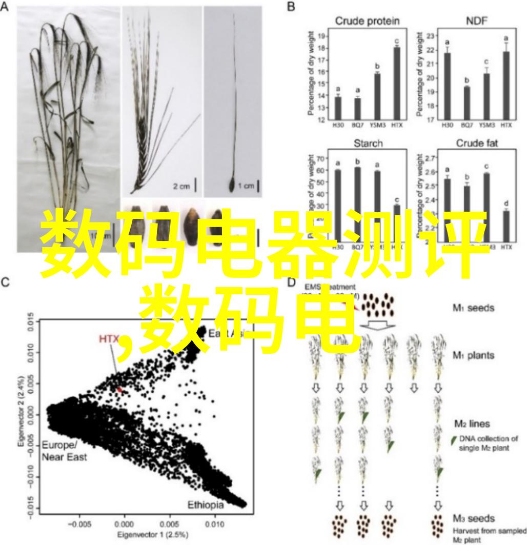 智能穿戴技术可穿戴设备的未来发展方向