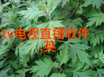 如何确定二手货车是否适合长途运输使用