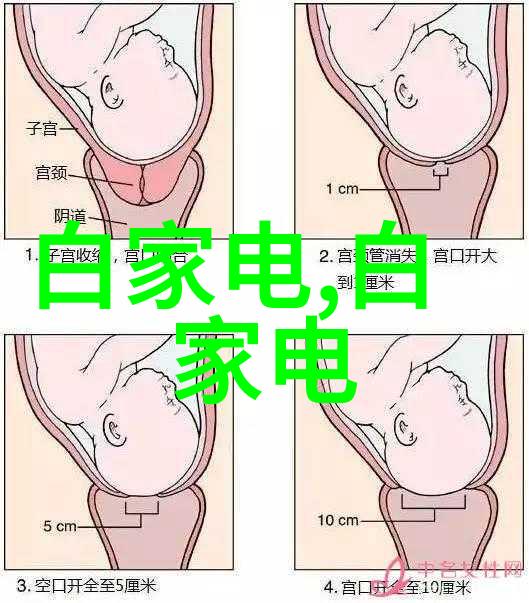 仪器分析的精确之道常用方法与应用