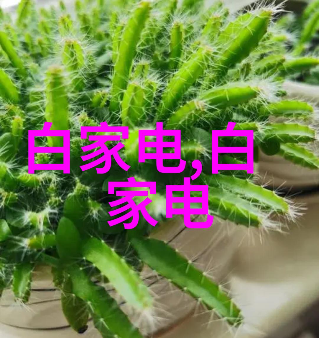 爱的编织婚纱照中的美丽瞬间