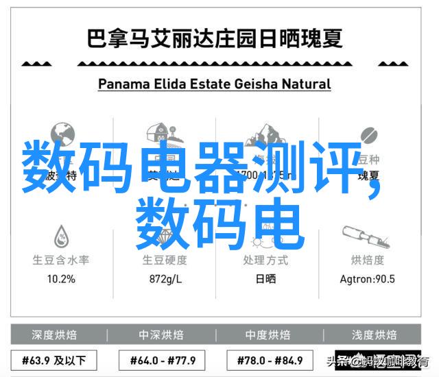 中南财经政法大学我在这里的故事从学术探索到人生选择