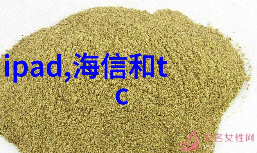 燃气蒸汽发生器火焰中的翅膀