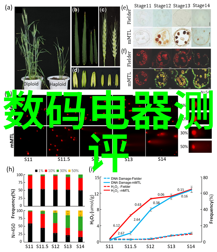 家庭经济学中的隐患家庭食品储存设施如保鲜柜运行异常现象分析