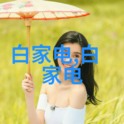 家居美学如何正确阅读和应用家装设计图纸