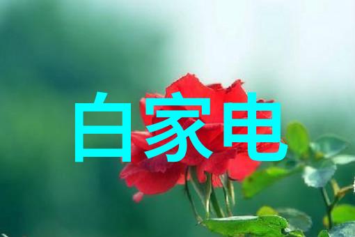 创维电视机智慧视界的创意之选