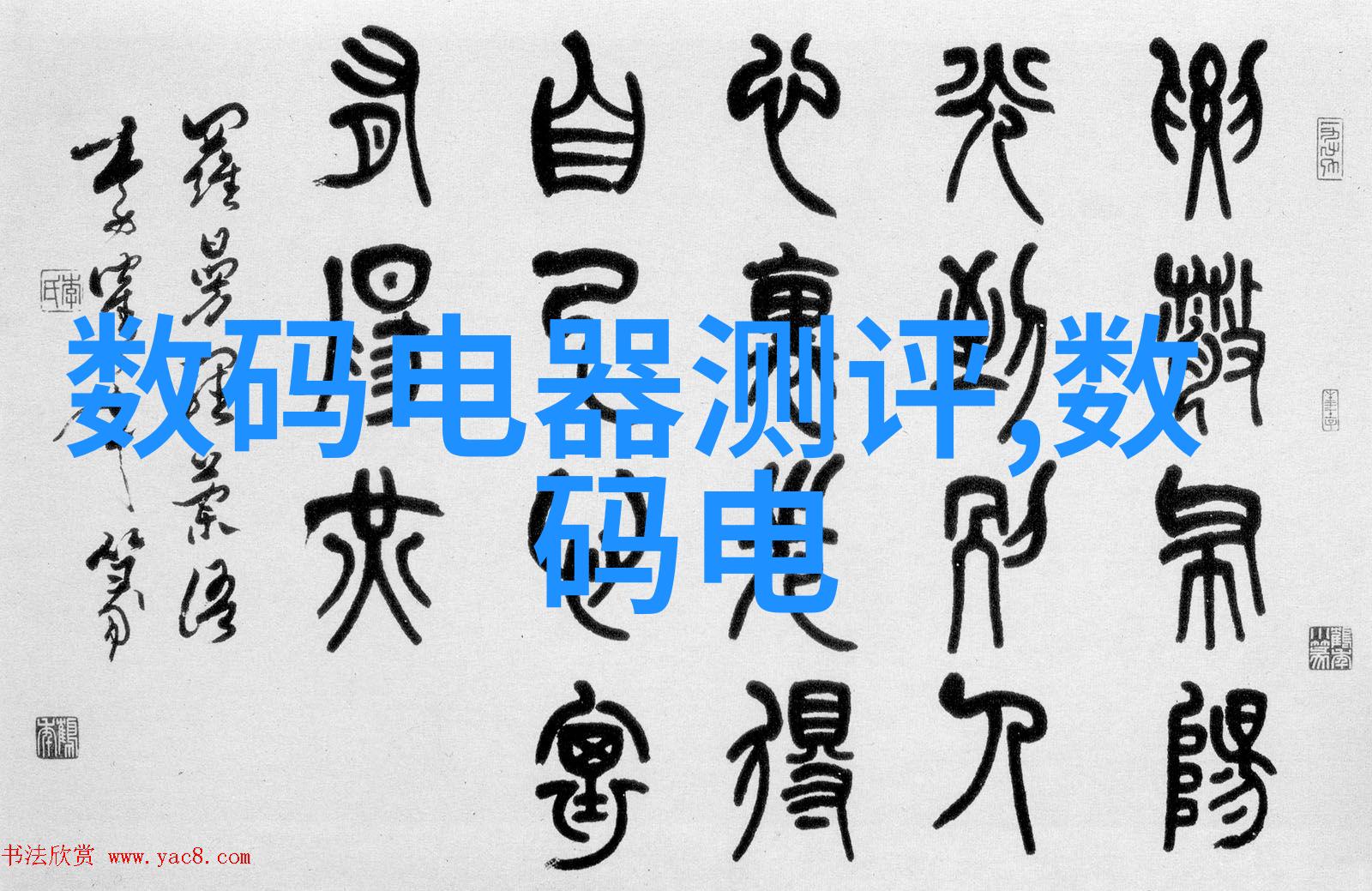 专家看点2021年12月的r最新报价趋势