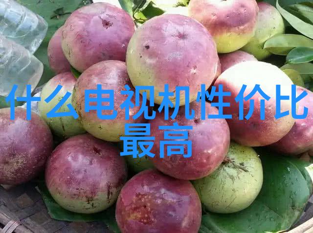 家庭装修常识-精选必知从选择材料到预算控制的全程指南