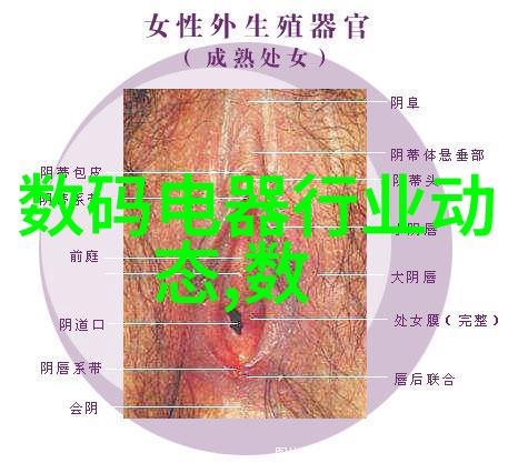 PCR仪在现代医学中的应用与发展