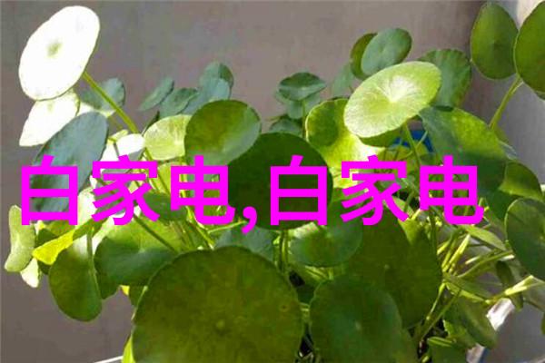 心灵诊断师探索免费职业性格测试背后的心理学原理