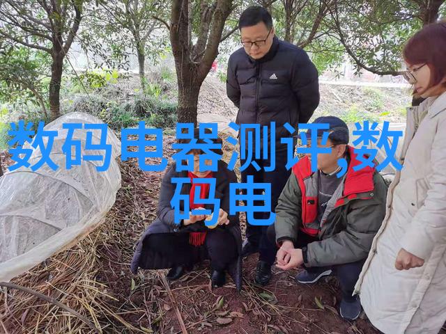 建筑设计规范的实用性与创新之争