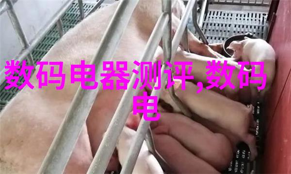 不锈钢丝网波纹填料重量我来告诉你如何快速测量它