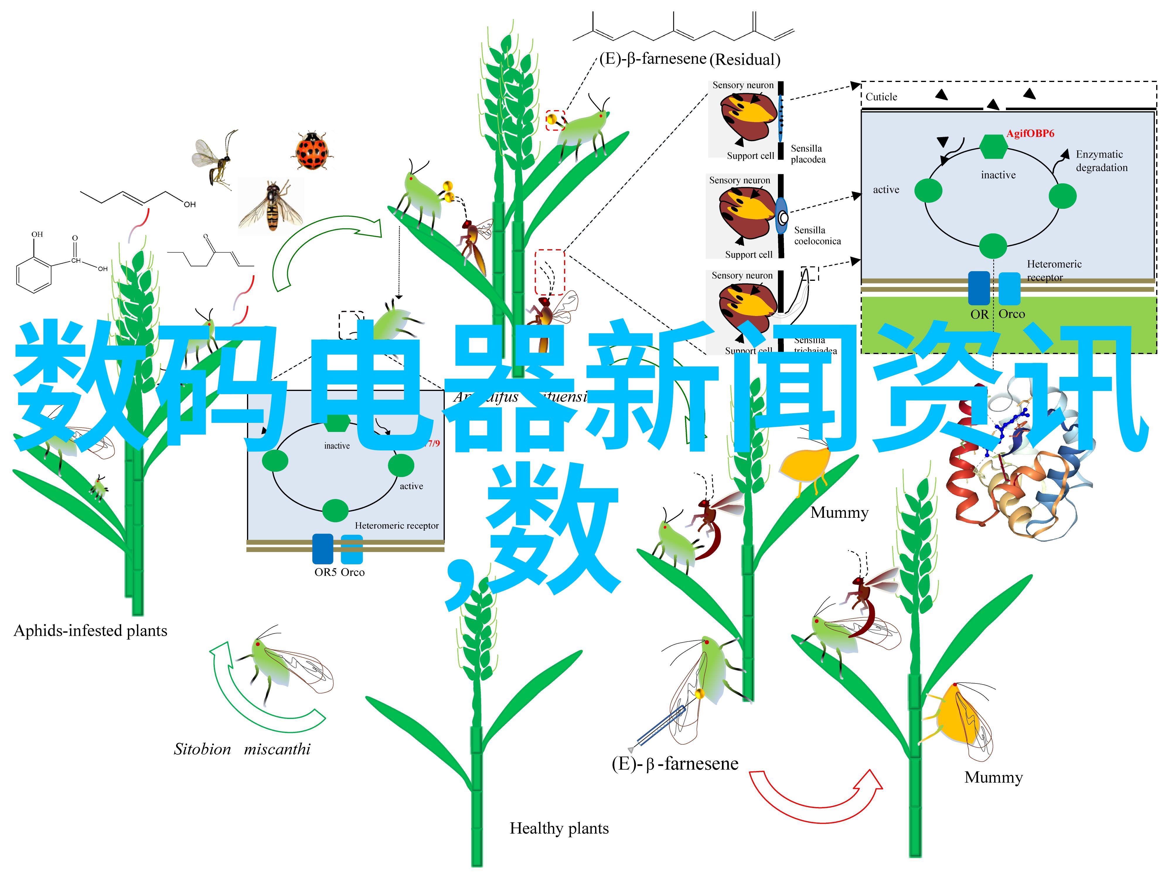 电力系统的脉络水电维修的重要性与挑战