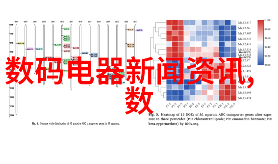 镜头下的故事摄影师作品图片的艺术探索