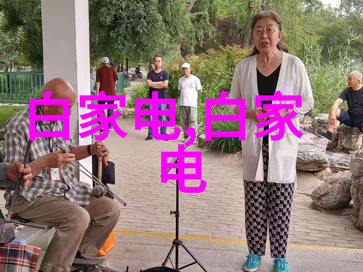 摄影技巧-捕捉细节之美微距模式的艺术探索