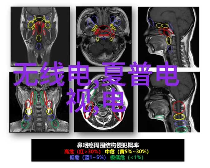 在虚空的边缘重生者狂想曲奏响了它的悲壮乐章