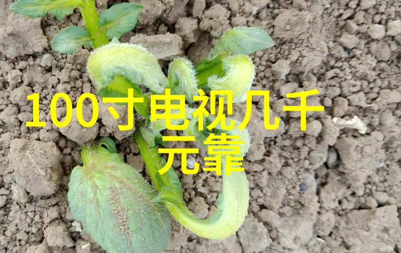 新房装修后怎么除甲醛6招有效去除甲醛方法