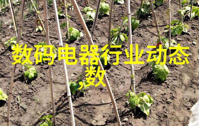 全画幅传感器的旗舰之选探索索尼A7R2的无限潜能