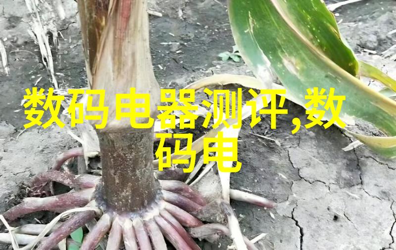 镜头之王索尼全画幅微单的艺术探索