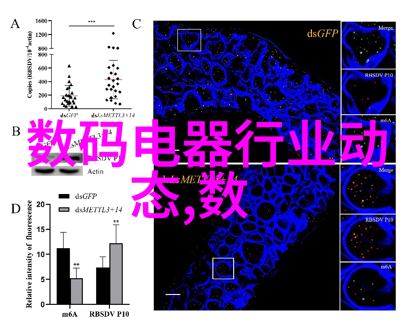 混凝土结构工程之谜揭秘施工质量验收的未知领域