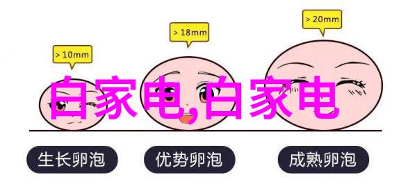 如何撰写高效的报告摘要