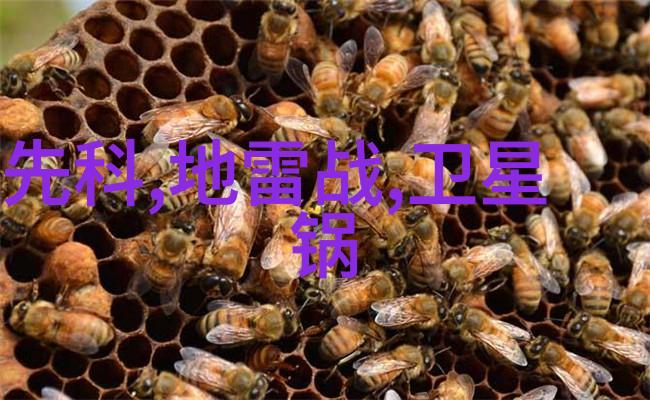 水电安装预算价格详细清单编制与应用指南