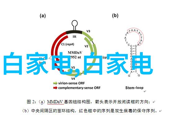 灯光下的静谧