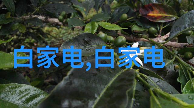 温馨家居创意无沙发客厅装饰灵感