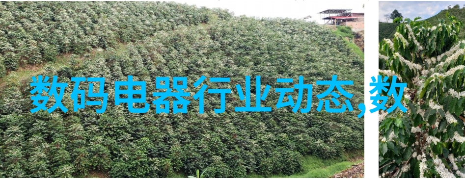 空气净化器能否有效去除PM2.5和其他小颗粒物质为什么这么说