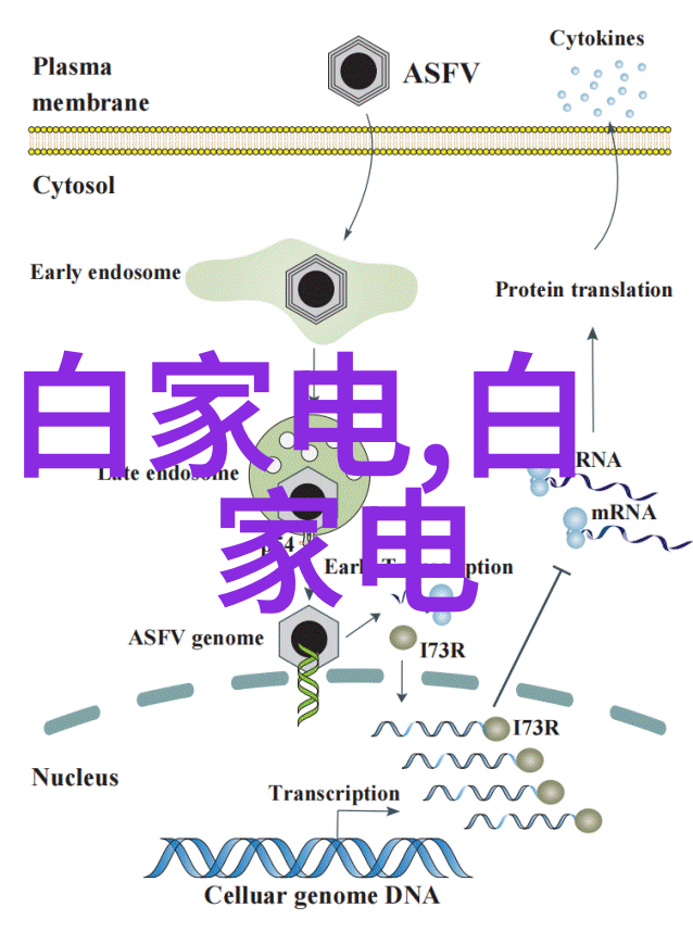 水电工程绿色能源的巨龙在飞从坝址规划到发电机组水电大业的壮丽篇章