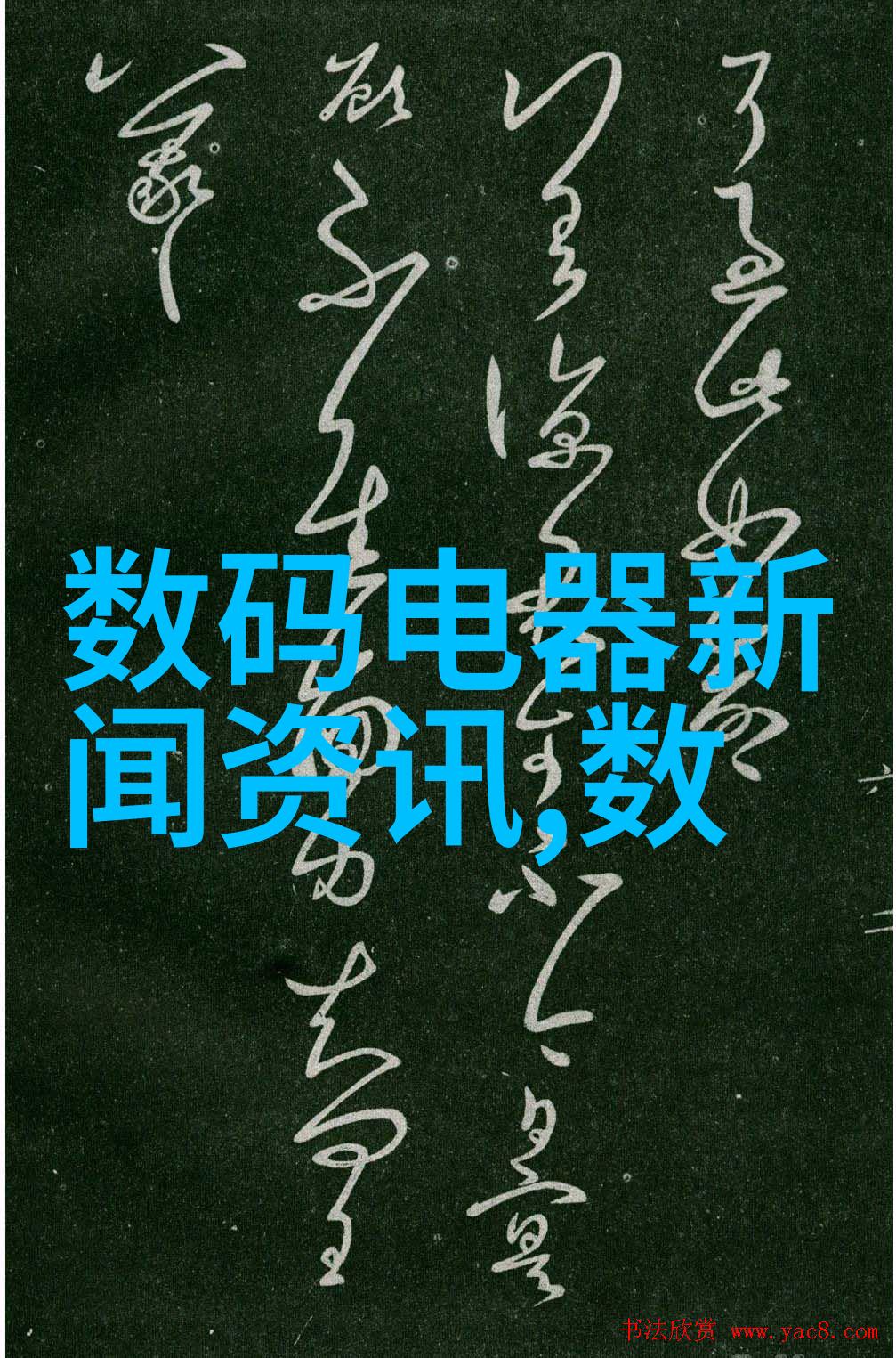 全球新闻视觉盛宴揭秘年度摄影大赛背后的故事