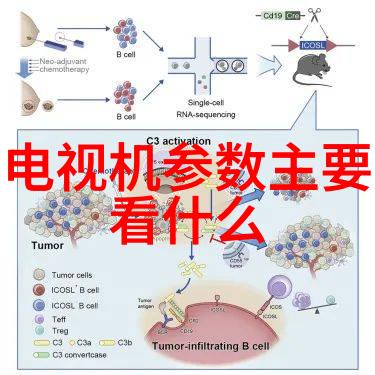 发电机设备 - 旋转磁场的能量之心深度探究现代发电机设备技术