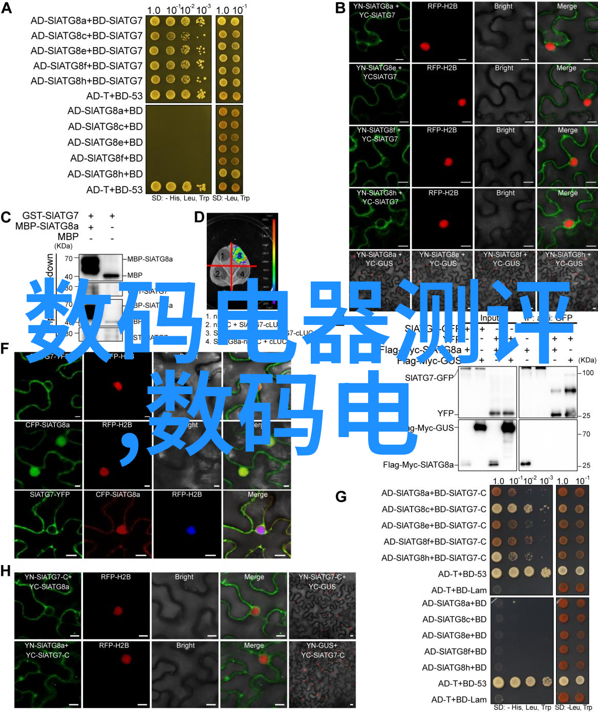 洗碗机使用操作指南