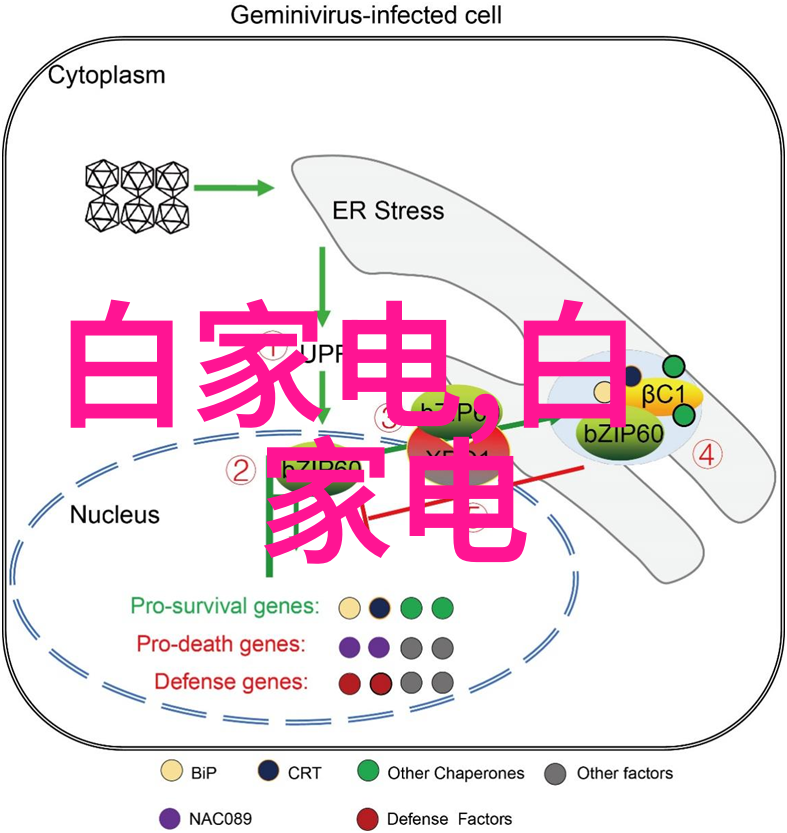 医用消毒灭菌 - 医院洁净室的重要性及其消毒灭菌技术