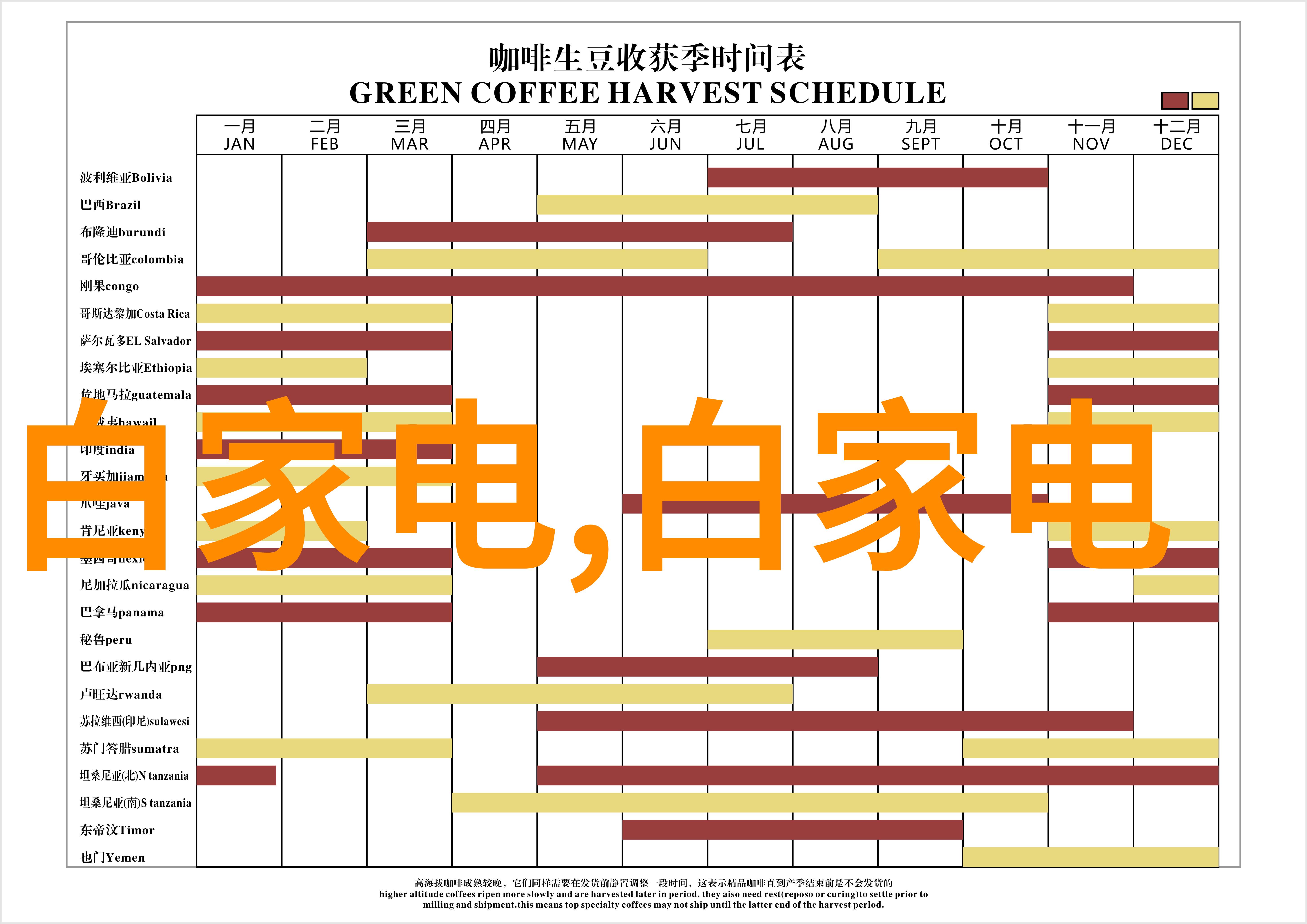 师父不可以老板的秘密爱好让我大开眼界