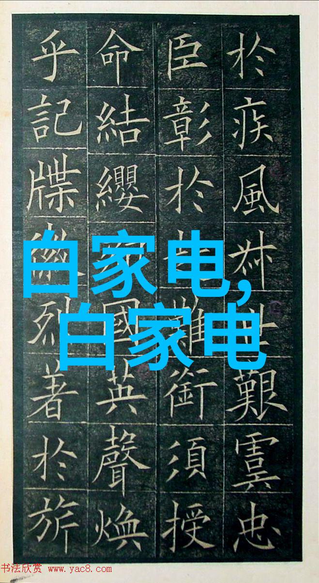 304不锈钢水靴架近在咫尺的清洁之选烘干除臭沥水鞋架让您的脚部享受每一刻的洁净与舒适