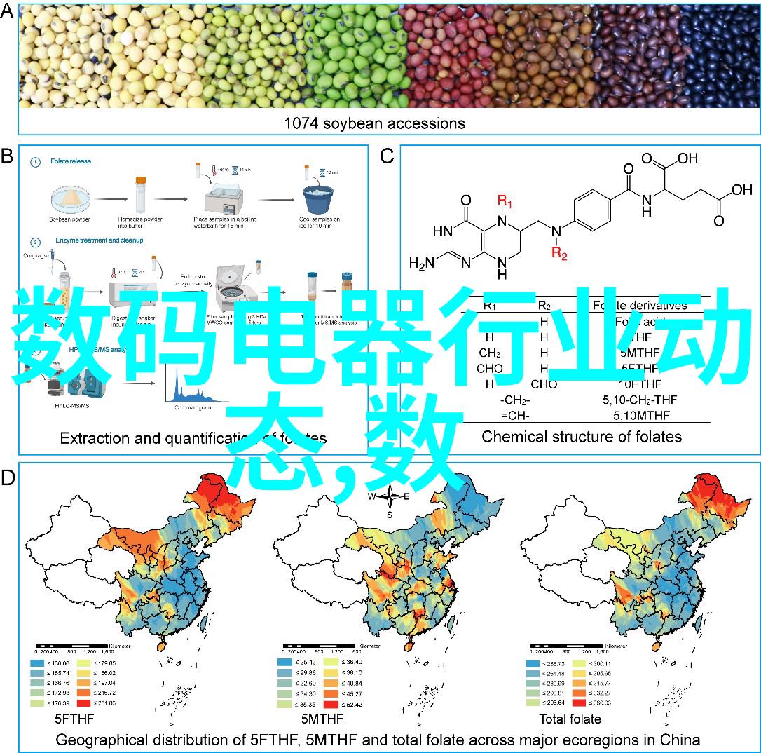 海鲜盛宴一双分得更大尽享扇贝的美味