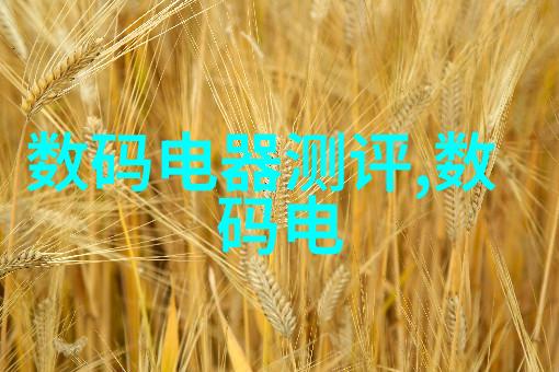 电子元器件指南 - 芯片大师揭秘各种芯片型号大全