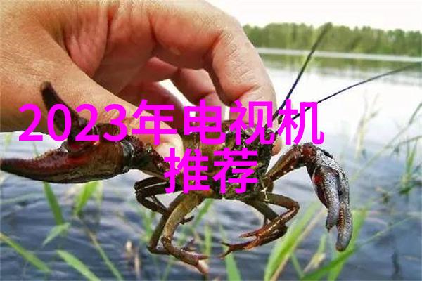 锂离子电池整流模块碳负极材料特点分析