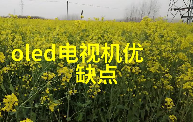 小米芯片我的智能选择