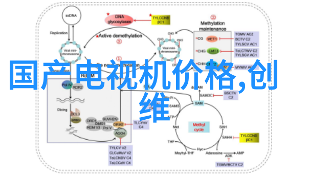 卫生间装修的步骤亲自告诉你如何把它打造得既实用又时尚