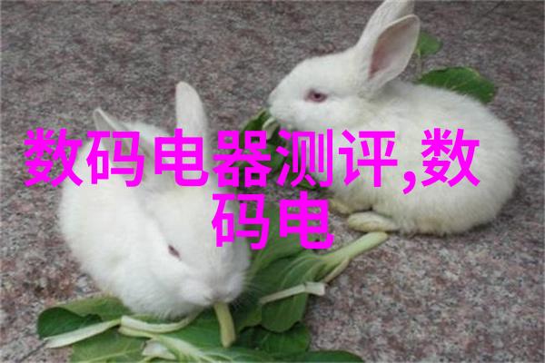 郁金香的花语温暖与纯洁的象征