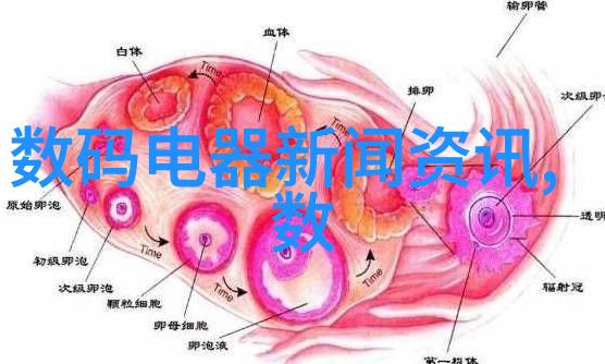 摄影爱好者的心得我和我的索尼NEX-7一段美好的旅程