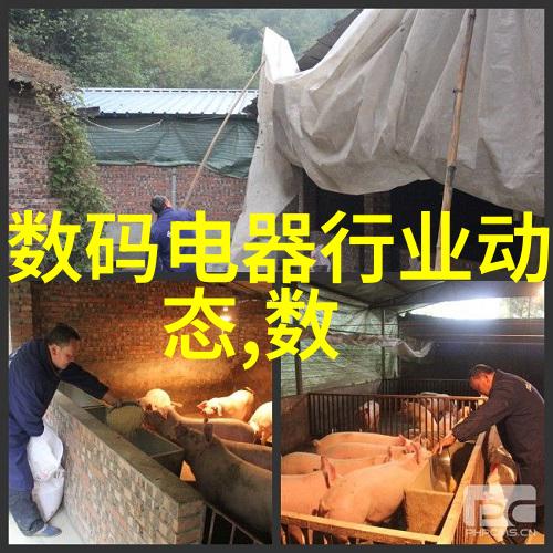 家具之梦织就温馨的全屋定制篇章