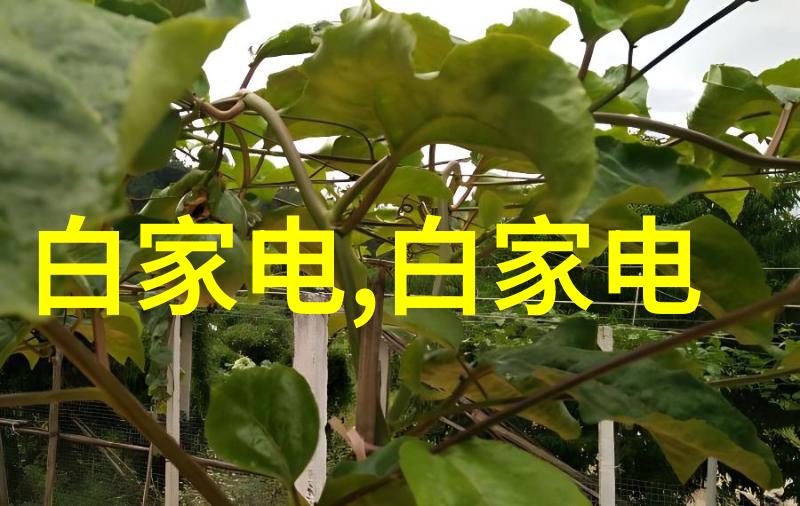 水电安装项目详解水力发电设备安装电力系统设计输变压器布线方案安全检查与维护服务