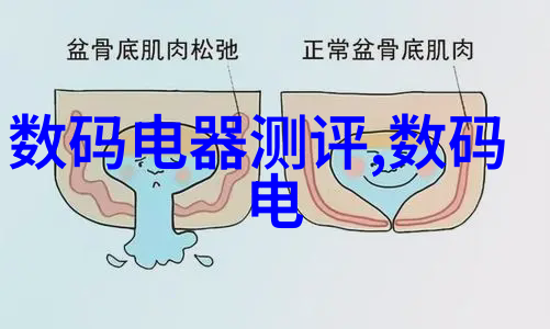 邯郸职业技术学院-实践引领未来邯郸职院的专业教育探索