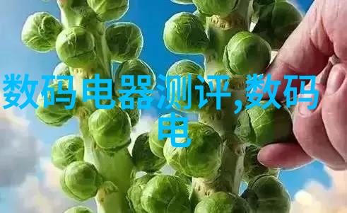 厨房装修效果图大全2012图片美食家梦想厨房设计