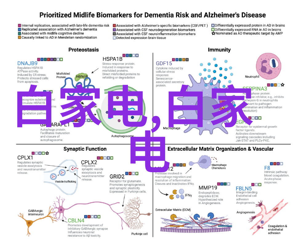 居家美学温馨雅致的室内空间营造艺术