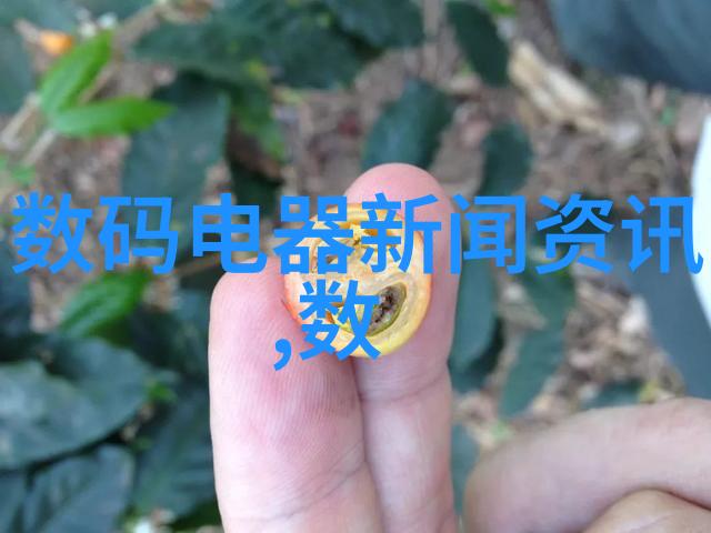 电化学方法在生物样品分析中的应用实例