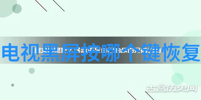 家庭谱系的丰富篇章探索父子之间的深刻纽带