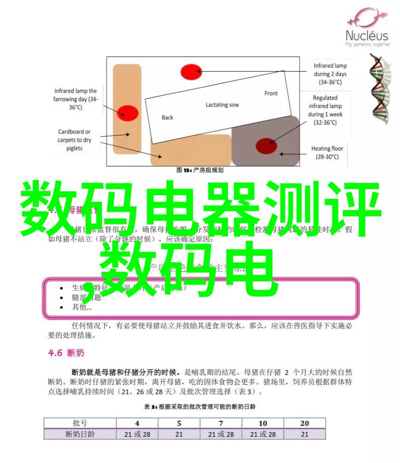 探索乐豪斯时间旅行者的奇幻之旅